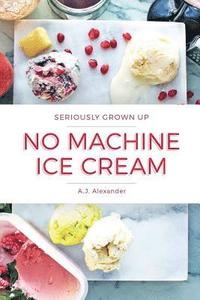bokomslag Seriously Grown Up No Machine Ice Cream