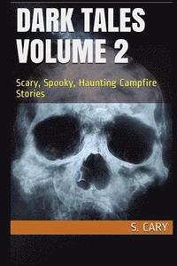 bokomslag Dark Tales Volume 2: Scary, Spooky, Haunting Campfire Stories