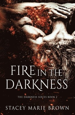 Fire in the Darkness 1