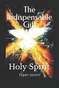 bokomslag Holy Spirit The Indispensable Gift