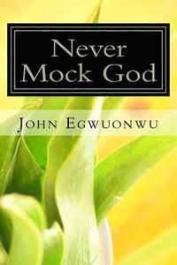 bokomslag Never Mock God: Read Of Men And Women Who Thought They Could Mock God And Get Away With It