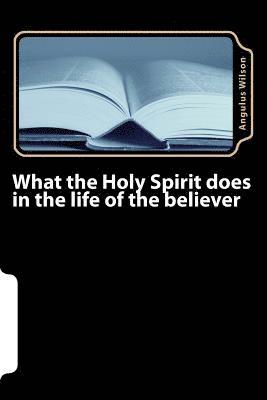 bokomslag What the Holy Spirit does in the life of the believer