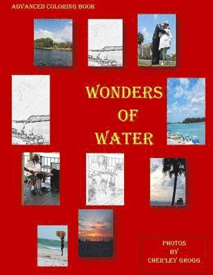 Wonders of Water: Advanced Coloring Book 1