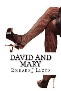 bokomslag David and Mary