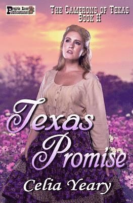 bokomslag Texas Promise