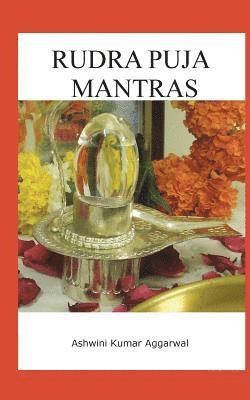 bokomslag Rudra Puja Mantras