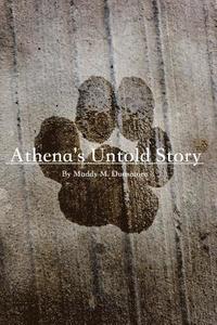 bokomslag Athena's Untold Story