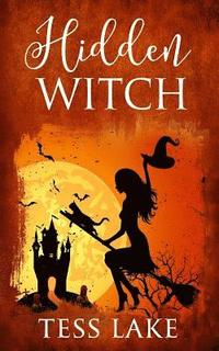 bokomslag Hidden Witch (Torrent Witches Cozy Mysteries #3)