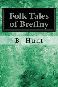 bokomslag Folk Tales of Breffny