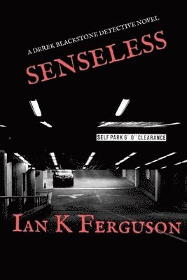 Senseless: A Derek Blackstone Detective Novel 1