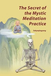 bokomslag Secret of the Mystic Meditation Practice