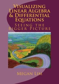 bokomslag Visualizing Linear Algebra and Differential Equations: The Guide to Seeing the Bigger Picture
