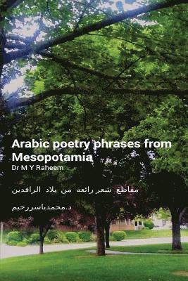 Arabic Poetry Phrases from Mesopotamia 1