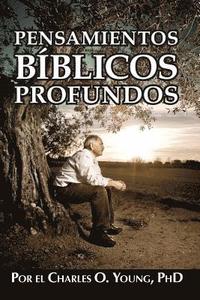 bokomslag Pensamientos biblicos profundos