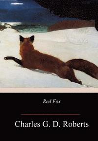 bokomslag Red Fox