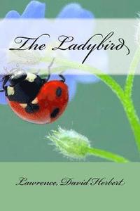bokomslag The Ladybird