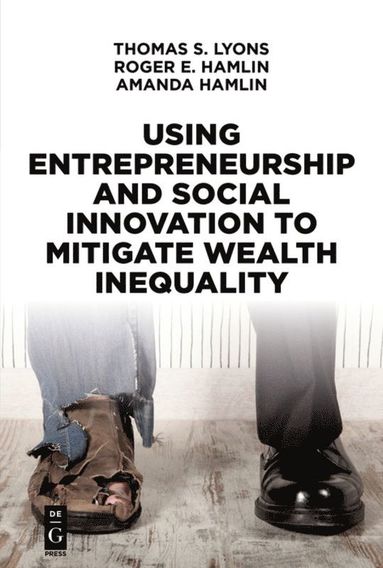 bokomslag Using Entrepreneurship and Social Innovation to Mitigate Wealth Inequality