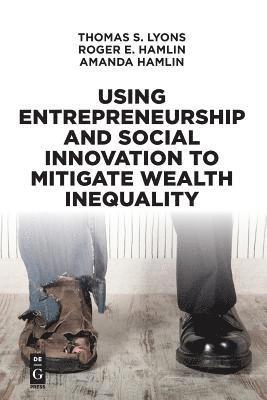 Using Entrepreneurship and Social Innovation to Mitigate Wealth Inequality 1