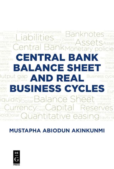 Mustapha Akinkunmi - Central Bank Balance Sheet and Real Business Cycles, Häftad