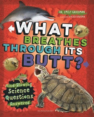 What Breathes Through Its Butt?: Mind-Blowing Science Questions Answered