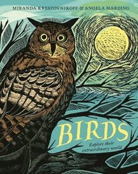 bokomslag Birds: Explore Their Extraordinary World
