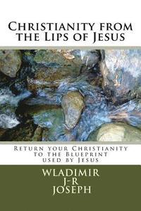 bokomslag Christianity from the Lips of Jesus: Return your Christianity to the Blueprint used by Jesus (Vol 1)