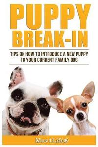 bokomslag Puppy Break-In: Tips On How To Introduce A New Puppy To Your Current Family Dog