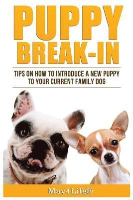 Mav4life - Puppy Break-In: Tips On How To Introduce A New Puppy To Your Current Family Dog, Häftad
