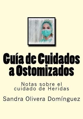 bokomslag Guia de Cuidados a Ostomizados: Notas sobre el cuidado de Heridas