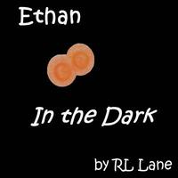 bokomslag Ethan In the Dark