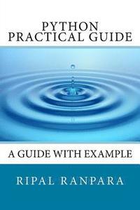 bokomslag Python practical Guide