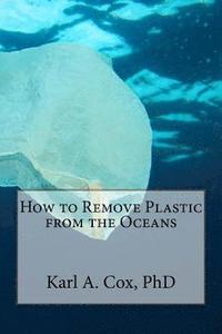 bokomslag How to Remove Plastic from the Oceans