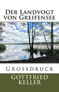 bokomslag Der Landvogt von Greifensee - Großdruck