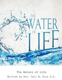 bokomslag The Water of Life