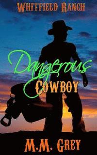 bokomslag Dangerous Cowboy