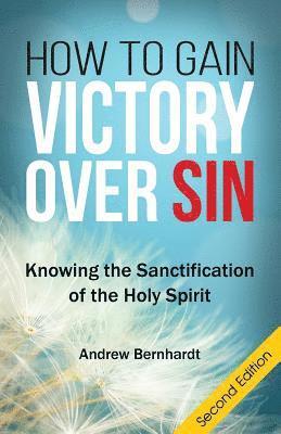 How To Gain Victory Over Sin: Knowing the Sanctification of the Holy Spirit 1