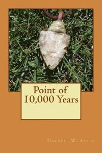 bokomslag Point of 10,000 Years
