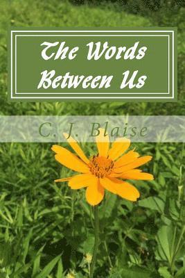 The Words Between Us 1