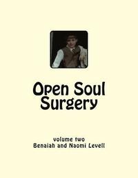 bokomslag Vol. 2, Open Soul Surgery, large print edition: Seven Flames: Letters to Manasseh