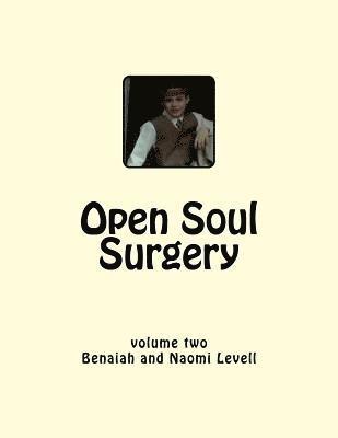 Vol. 2, Open Soul Surgery, large print edition: Seven Flames: Letters to Manasseh 1