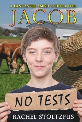 A Lancaster Amish School for Jacob 1