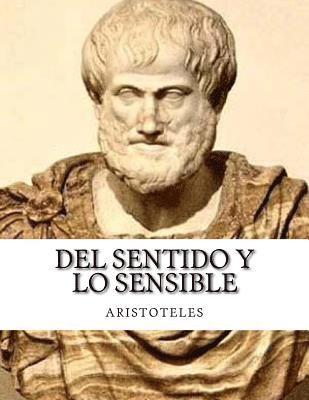 bokomslag Del sentido y lo sensible