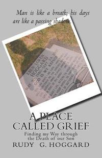 bokomslag A Place Called Grief: Finding my Way through the Death of our Son