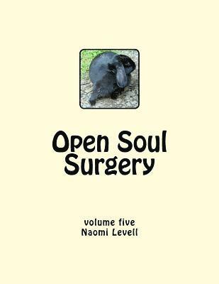 Vol. 5, Open Soul Surgery, large print edition: The Daughter 1