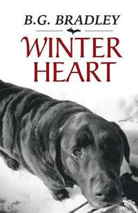 bokomslag Winter Heart