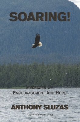 bokomslag Soaring!: Messages Of Encouragement And Hope