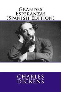 bokomslag Grandes Esperanzas (Spanish Edition)