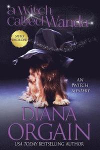 bokomslag A Witch Called Wanda