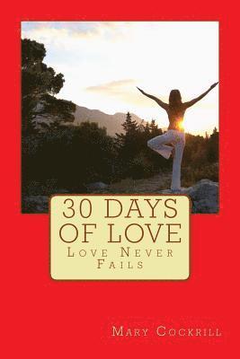 bokomslag 30 Days of Love