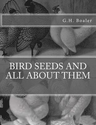 Bird Seeds and All About Them 1